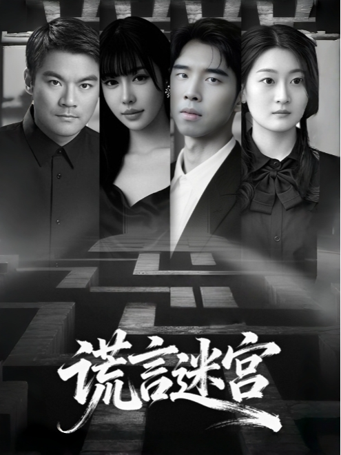 谎言迷宫