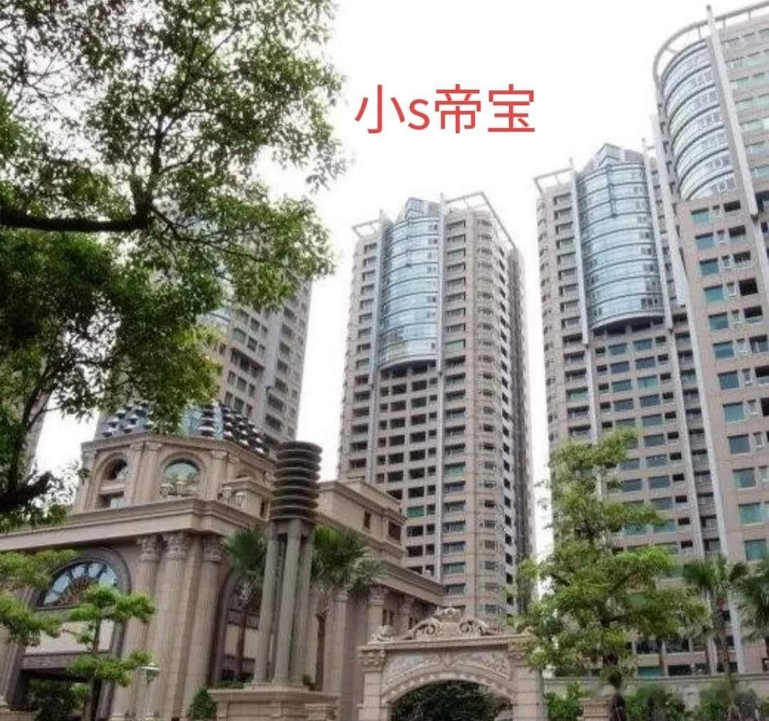 小s三女儿自称豪门，回怼网友态度强势，网友感叹比小s还厉害