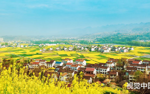 女友反水，被贬最穷乡镇，遇到女书记是我贵人