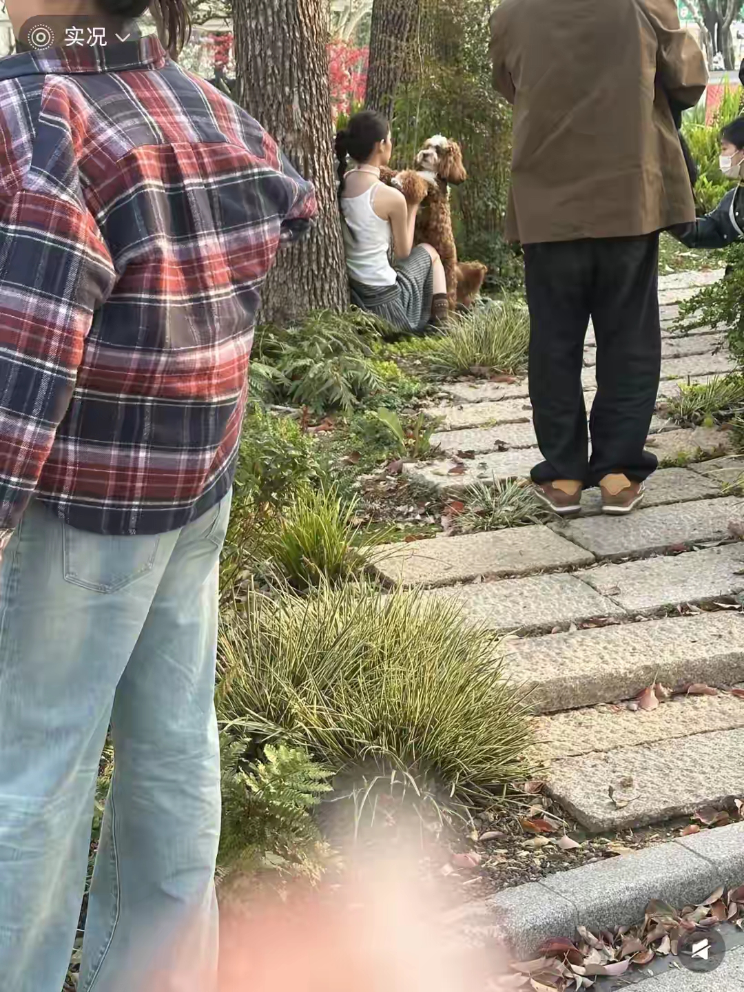欧阳娜娜上海被偶遇，本人好瘦好美头小五官超绝，小狗也好可爱呀