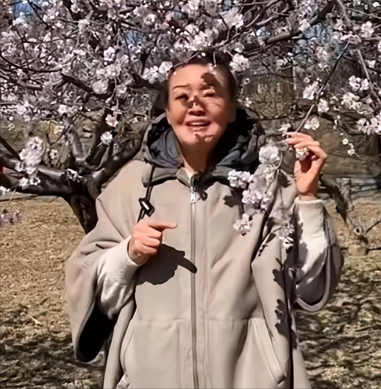 小Ｓ复工就放大招！蔡康永来应援把“毒舌”收起来：先抱一下再说