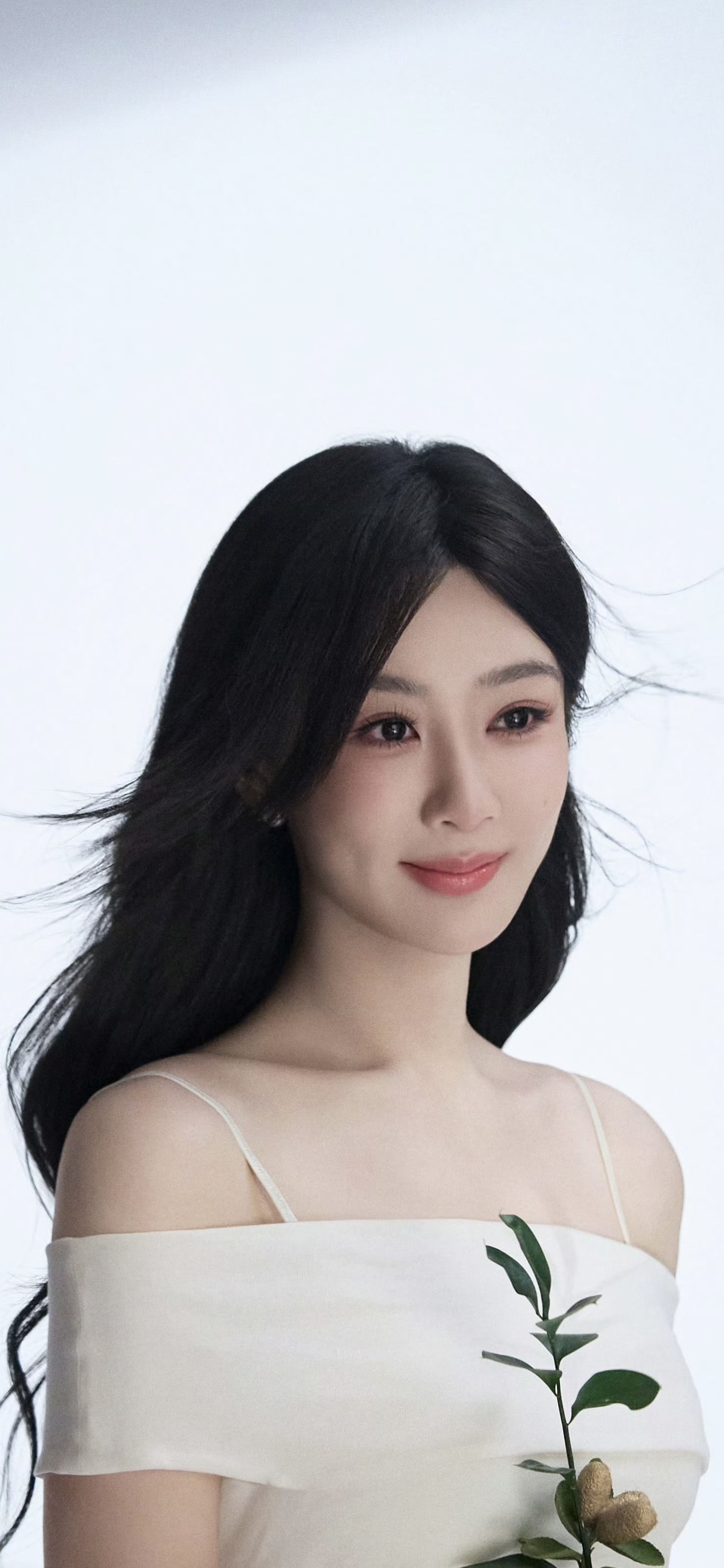 美女壁纸第4806期—杨紫