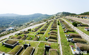 祖坟只旺小不旺长房？老人葬石头堆后子孙命运两极，风水师揭秘：方位错了！