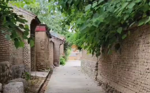 为骗保，儿子竟伙同他人谋杀亲生母亲，最后一句供词令人发指