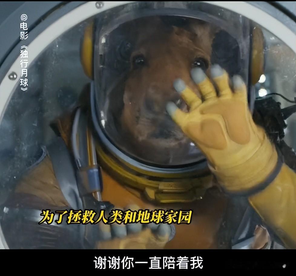 成本17亿，北美首日2.2亿，中国却仅3800万，观众给好莱坞上一课