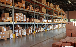 富婆女友送我十万的表，客服的一句：序列号不存在让我瞬间清醒，我不甘心被愚弄，跟踪她却发现一个惊天秘密