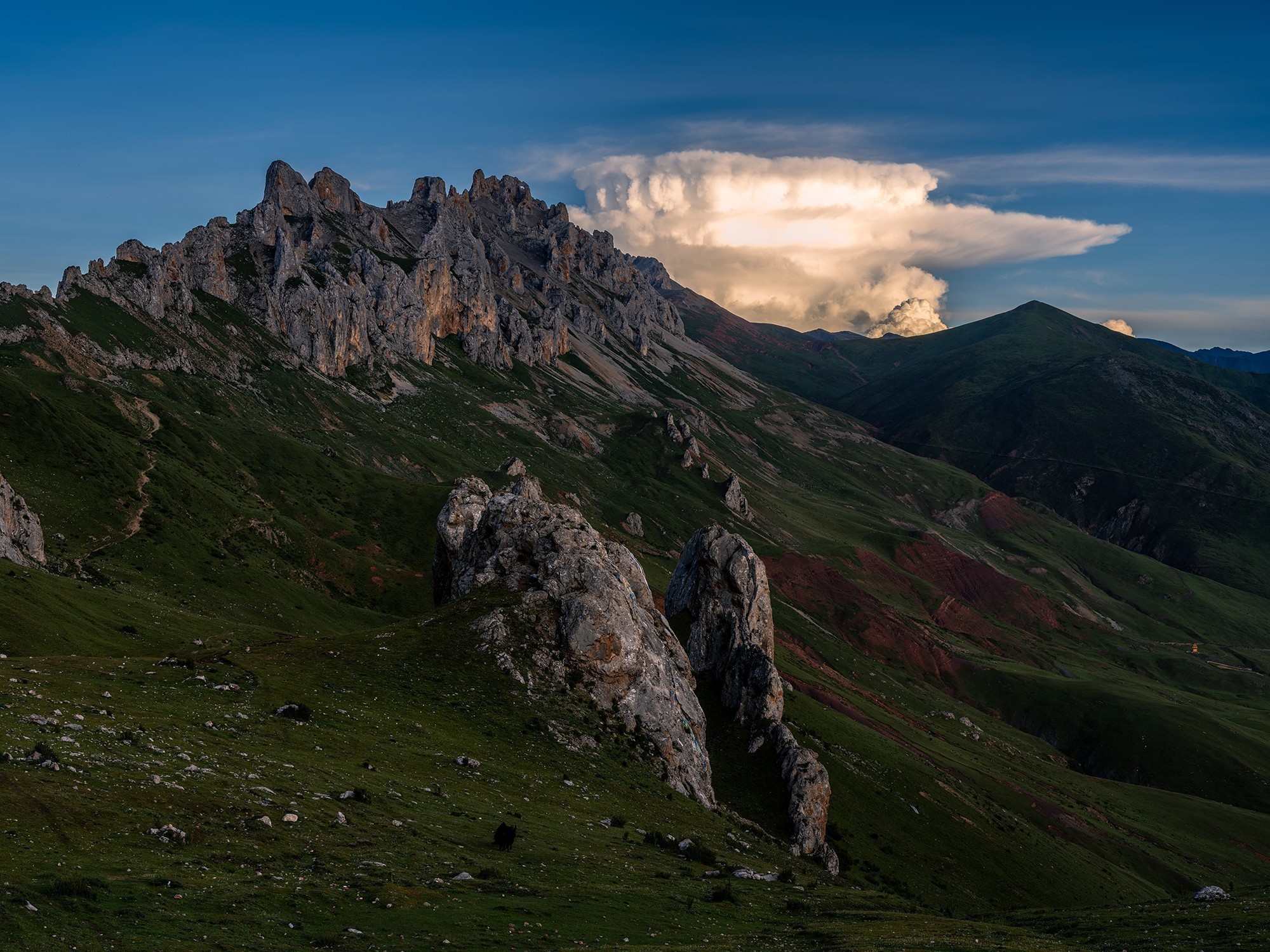 高性價比之選 解鎖中畫幅畫質新體驗