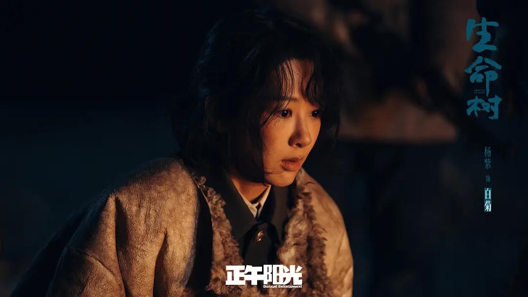 赵丽颖、杨紫奋战开年无爆款：演员“扛剧”是伪命题吗？ | 调查