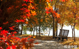 每月退休金1万，全交给女儿，买个榴莲被骂