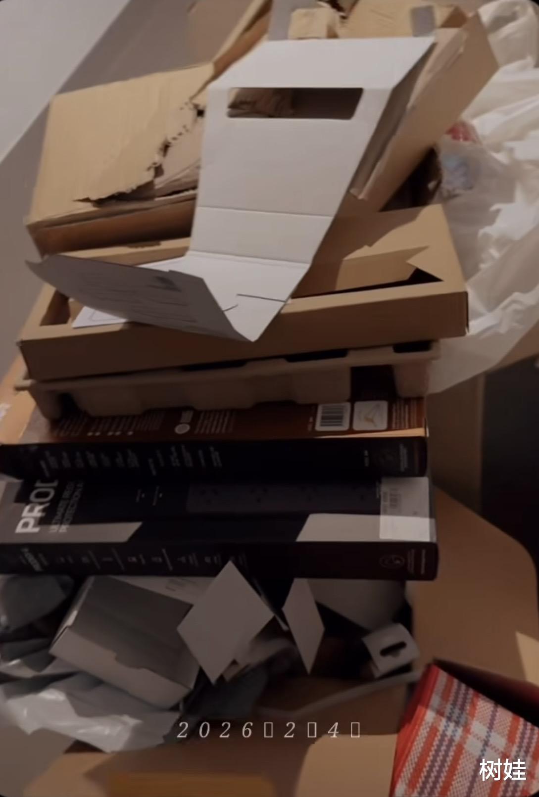 张柏芝在澳洲为儿子布置新家，亲自动手组装家私，18岁谢振轩帮忙