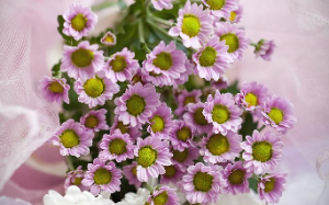 真实爱情故事：换肾病人和白血病患者的交易婚姻