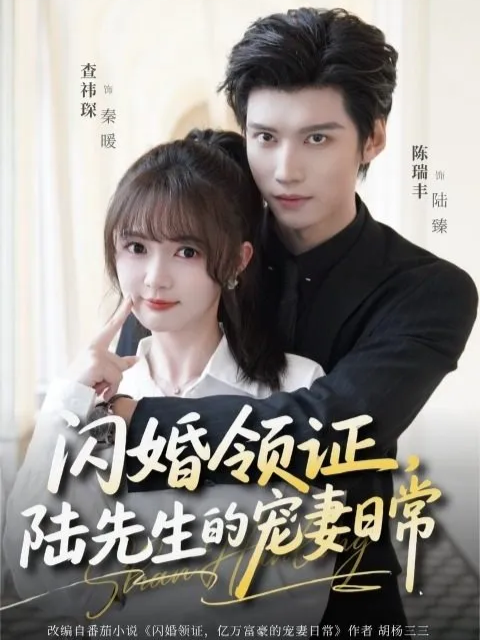 闪婚领证，陆先生的宠妻日常