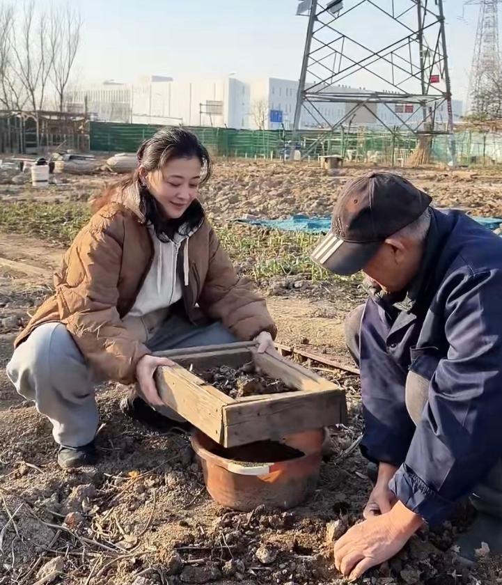 梅婷去菜园子帮公公干活!翻地种小白菜不会用铁锹,被宠成亲闺女