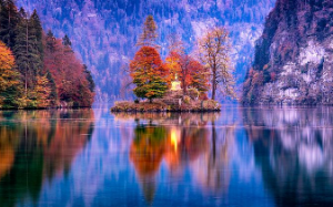 重生后，我把养父母送进监狱？