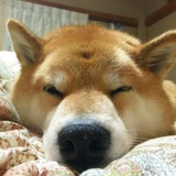 亚运观察