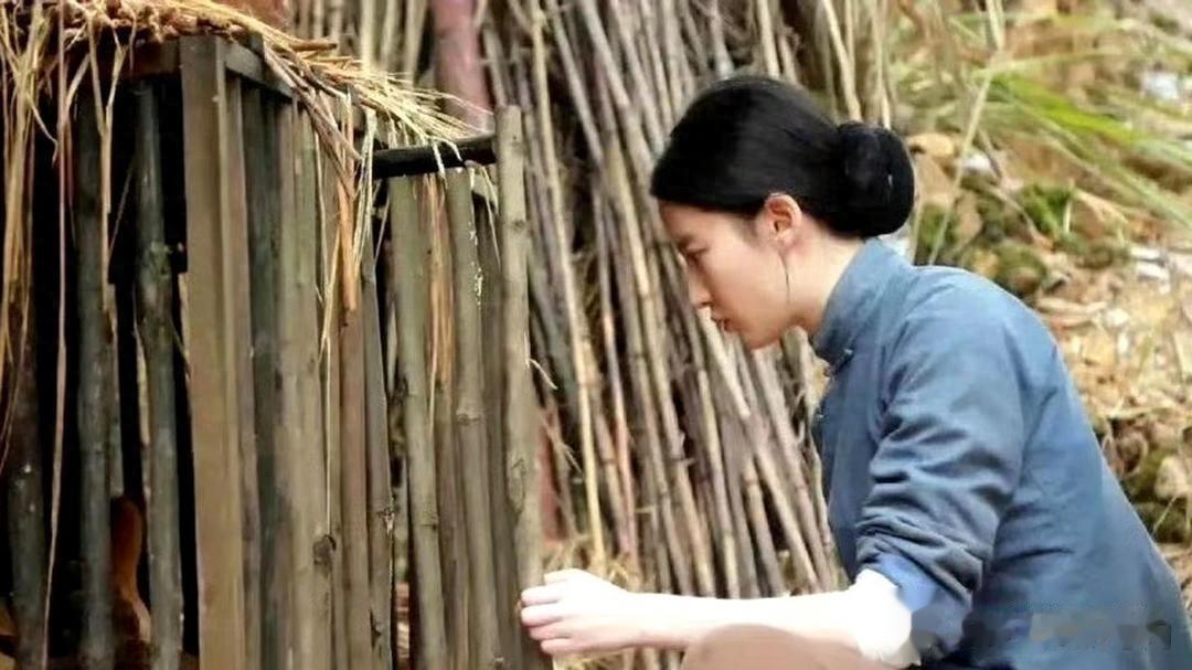 一看刘亦菲就演不了农村妇女，喂鸡是不用追着喂的，懂？