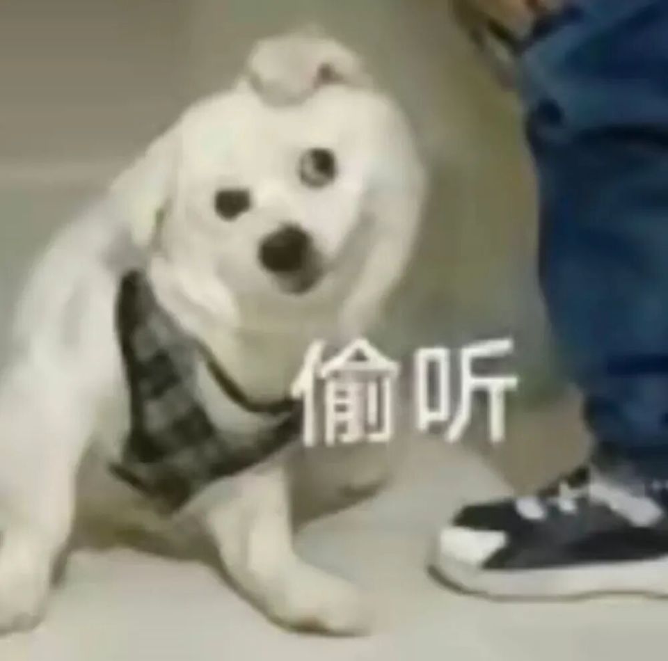 閑魚上的“全網唯一紅旗手機”，可能真要絕版了？