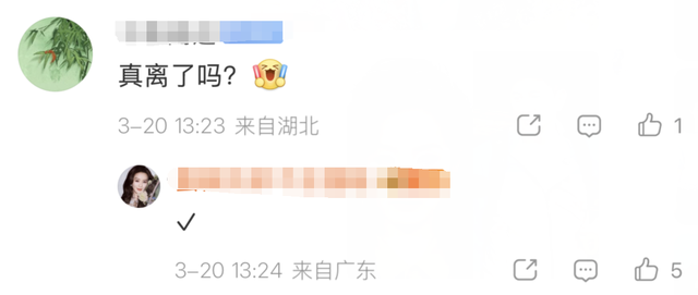 又一位85花离了?曝财产已分割完毕待官宣,刘诗诗大粉发声