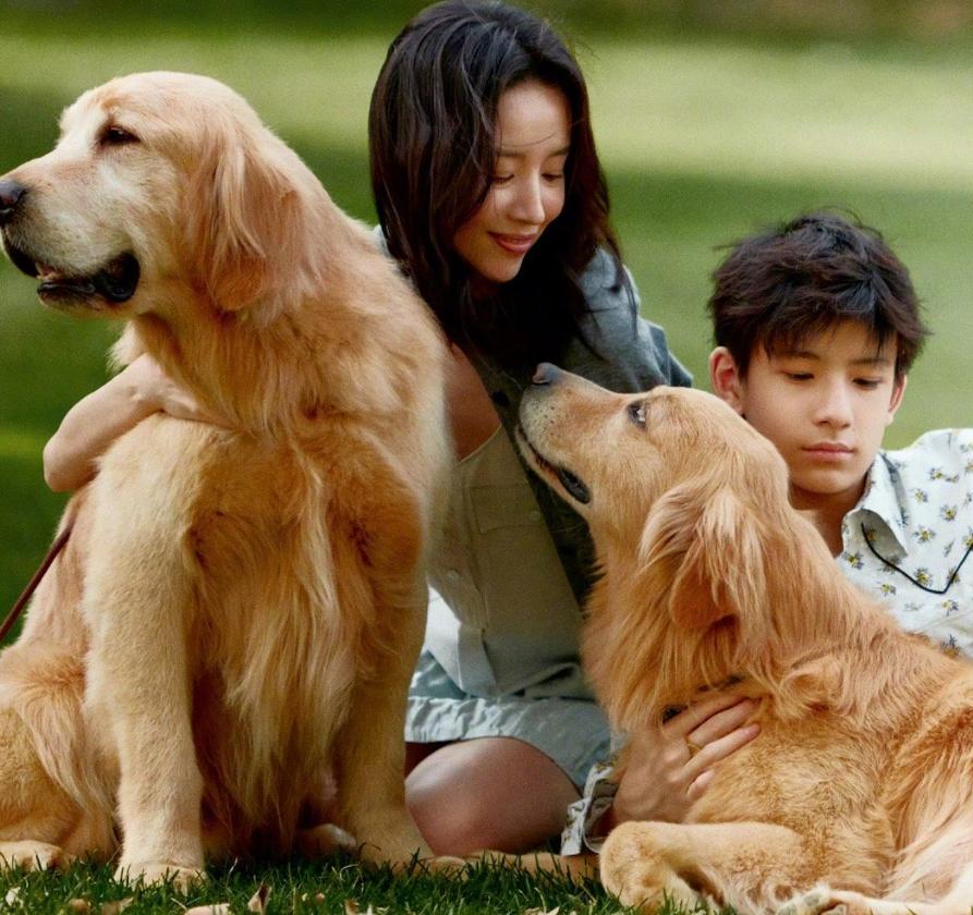 北京街头偶遇董洁,一身春装个头不高,都46了依然被她颜值震撼到