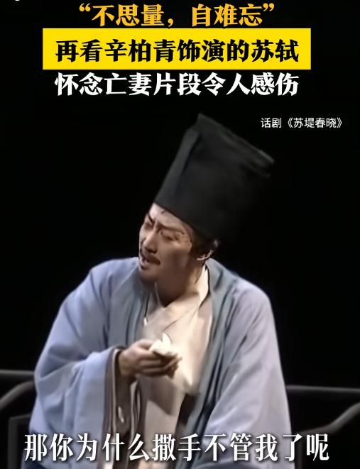 人民日报“点名”辛柏青，释放三个强烈信号，朱媛媛的话真没说错