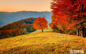 儿媳赶我去养老院，我私藏700万，该不该给她？