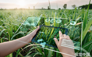 高标准农田建设，为何难获农民的认可？原因就藏在这里