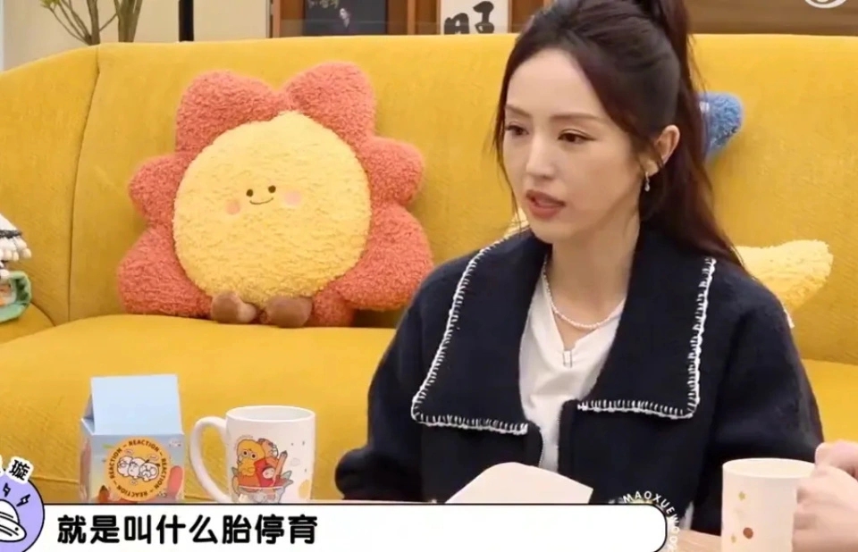 高云翔罕见出镜，否认张婉婷插足！网友却扒出他和董璇是二婚！