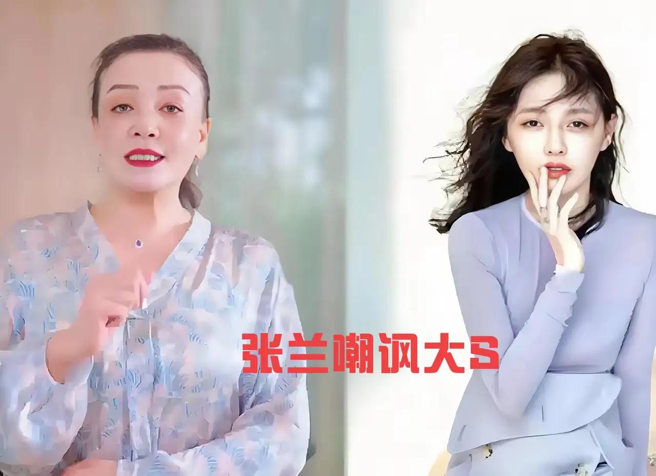 企业家史晓燕怒斥张兰，眼里只有钱，为大S说话，还波及了汪小菲