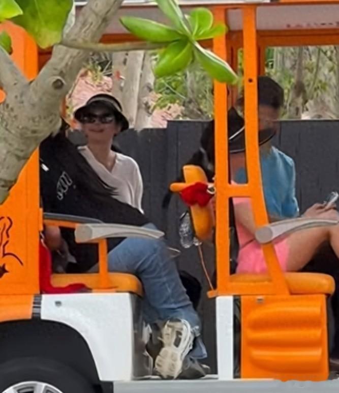 章子怡三亚陪孩子太拼了!被晒到皮肤黝黑、身材走样还长了小肚腩