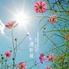 小增在看城