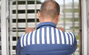 毒死9条狗，男子被判刑4年，这样的判决到底冤不冤？网络舆论两极分化！