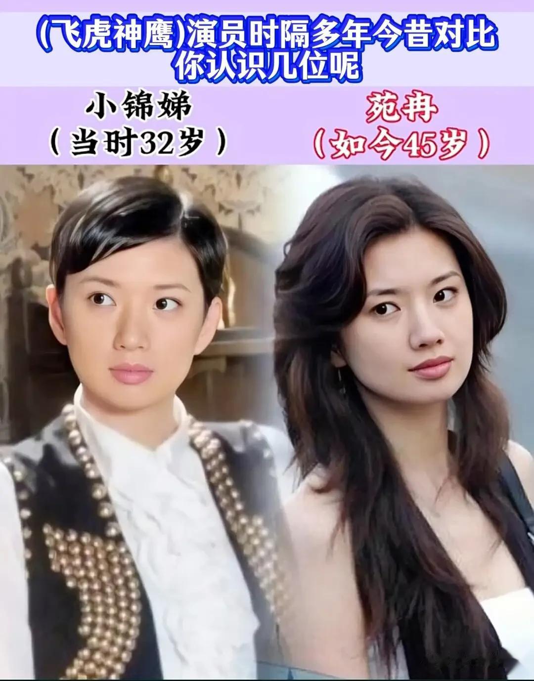 《飞虎神鹰》14位演员时隔多年今昔颜值对比