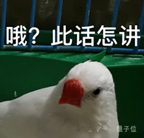 不用拍的廣告片？深度拆解美團閃購AIGC營銷新案例