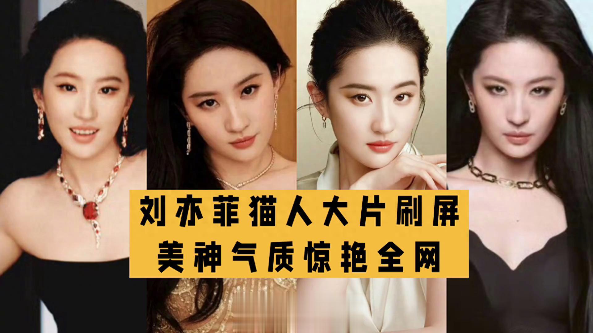 猫人官宣全球代言人，刘亦菲镜头表现力太绝