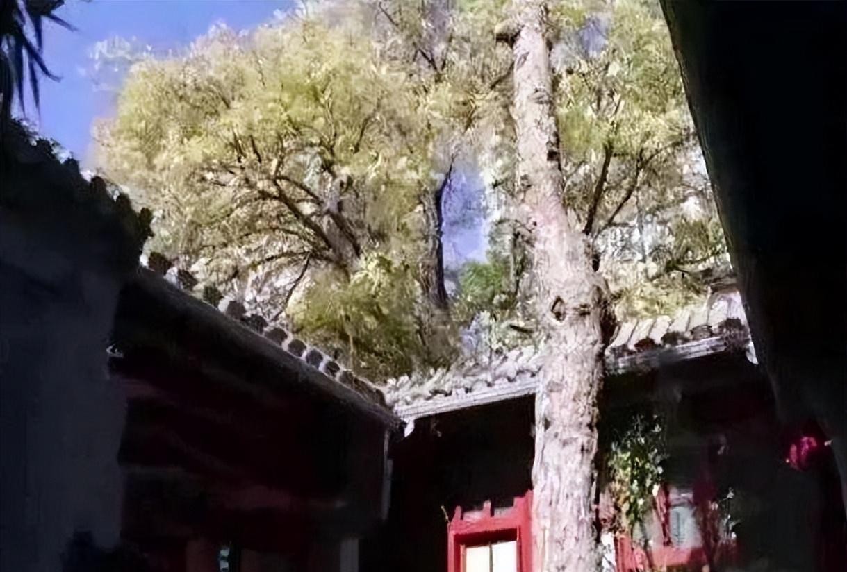 《逐玉》火了，演员们却在开会分红，这剧到底是谁的？