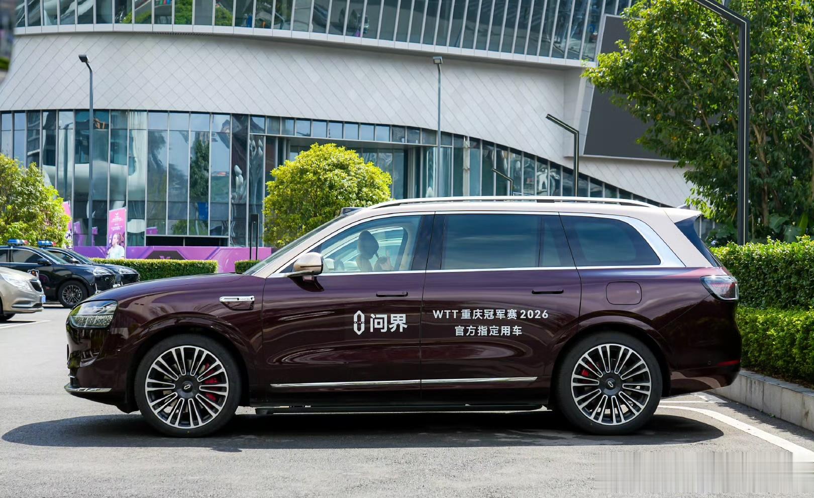 杨紫、王安宇、肖战、孙俪、白鹿、白敬亭、欧豪、陈伟霆、问界M9
