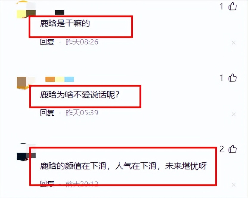 不说话，不吃植入零食，偶像包袱又重，他上《五哈6》干嘛来了？