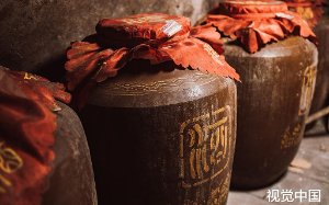 保姆偷拿了家里2瓶茅台去卖，我没揭穿只辞退了她，临走时她指了指旧皮鞋，我一看瞬间瘫坐在地