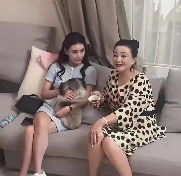 胳膊拧不过大腿，马筱梅换保姆计划落空，母凭子贵不现实