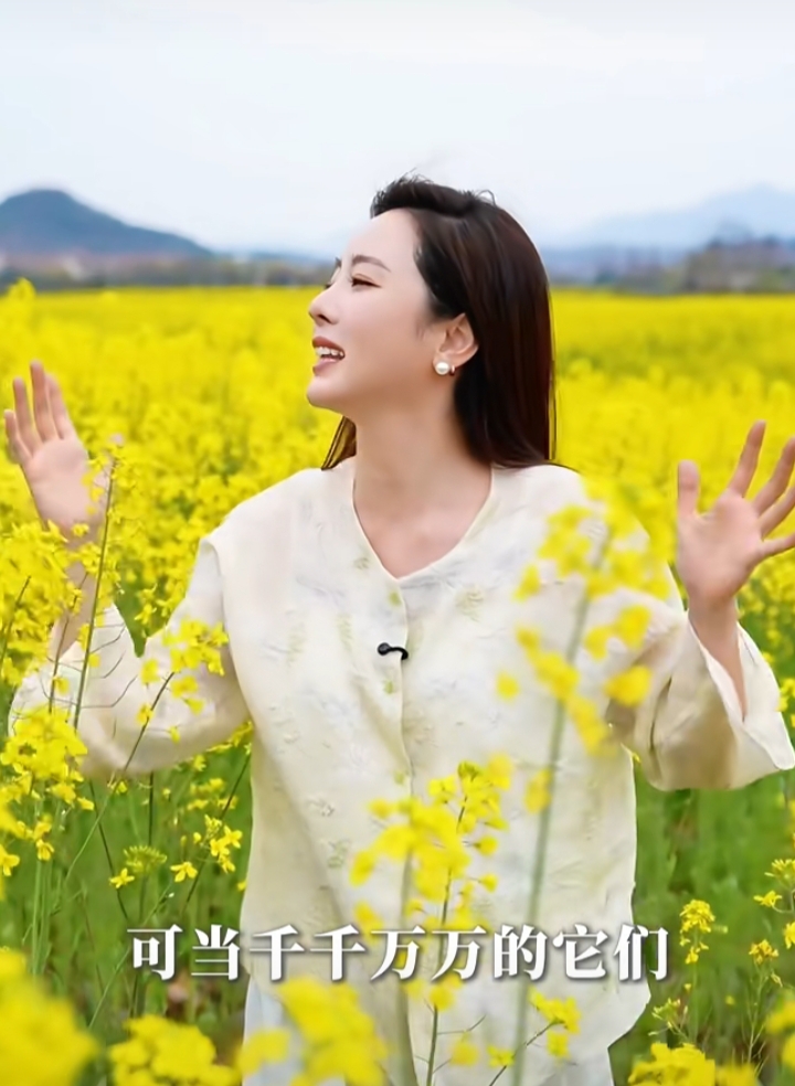 李思思一身简约白裙在油菜花海，柔顺长发，知性优雅美得那么耀眼