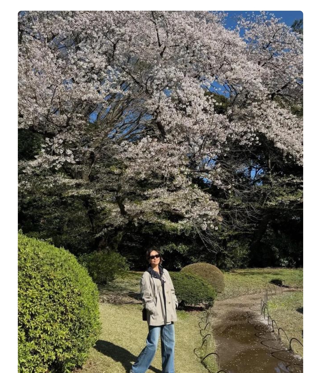 刘嘉玲东京赏樱，80岁妈妈状态太让人惊艳