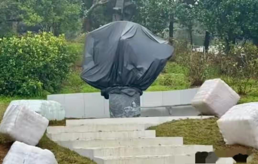 小杨阿姨已回老家过年，玥儿箖箖姐弟没被邀请参加亲妈周年祭