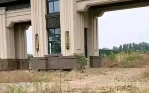 曾经风光无限的许老板被拘细节曝光，现场失控吼叫：我是来开保交楼会议的