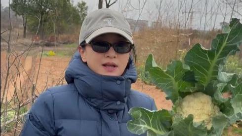 51岁周迅过年回老家，下地摘菜把裤脚塞袜子里，动作熟练毫无架子
