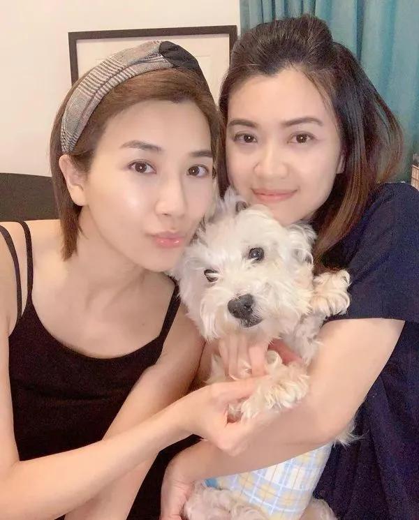 TVB离巢花旦跟随家姐步伐涉足教育界,姐姐颜值不输妹妹背景不简单