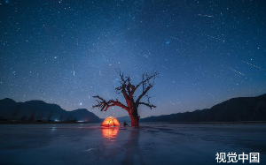 兄弟骗我顶罪入狱，占了我的房，娶了我的老婆，出狱又遇车祸