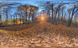 寿宴变忌日：父亲再婚夜，我亲手撕了母亲的遗书