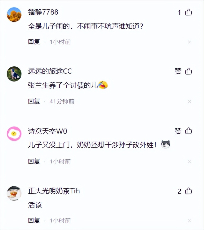 栽了！转移资产、躲避债务，张兰2亿名画被扣，汪小菲释放3大信号
