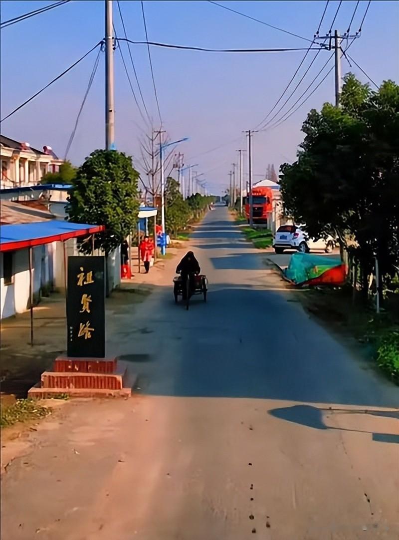 王祖贤59岁生日罕见晒照:素颜惊人,状态引热议,自曝吃素十余年