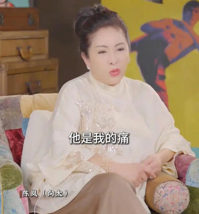 向太回应遗产不给儿子真实原因,信息量大,对郭碧婷还有1个要求